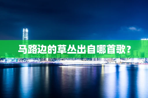 马路边的草丛出自哪首歌？