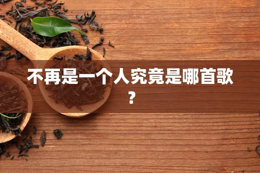 不再是一个人究竟是哪首歌？