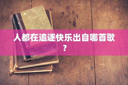 人都在追逐快乐出自哪首歌？