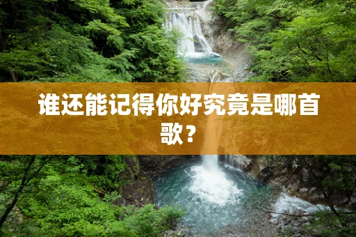 谁还能记得你好究竟是哪首歌？