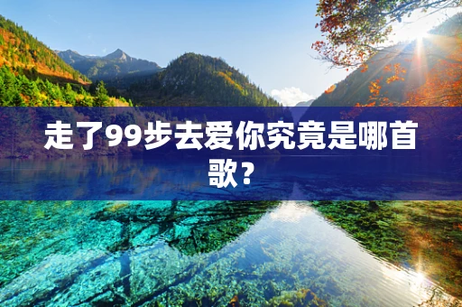 走了99步去爱你究竟是哪首歌？