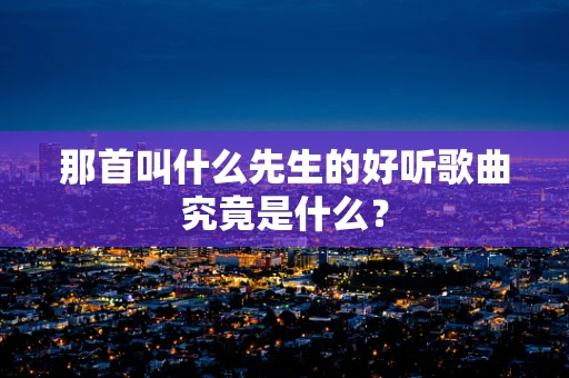那首叫什么先生的好听歌曲究竟是什么？