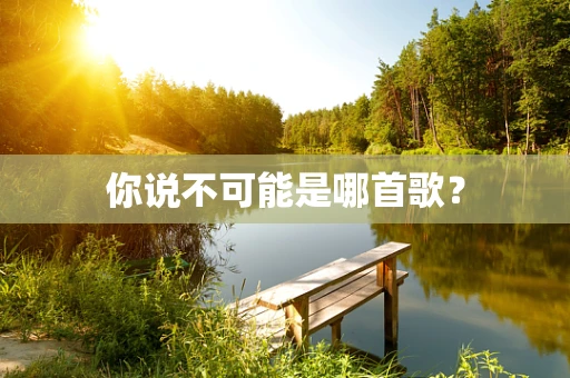 你说不可能是哪首歌？