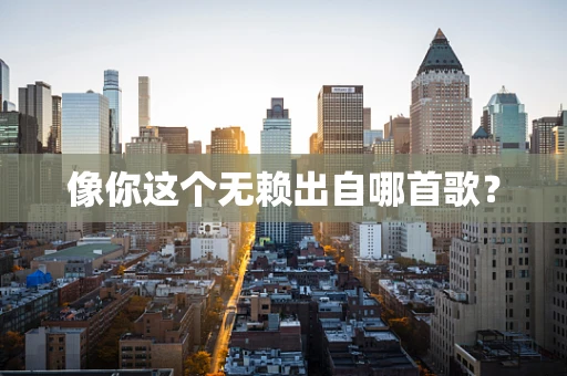 像你这个无赖出自哪首歌？