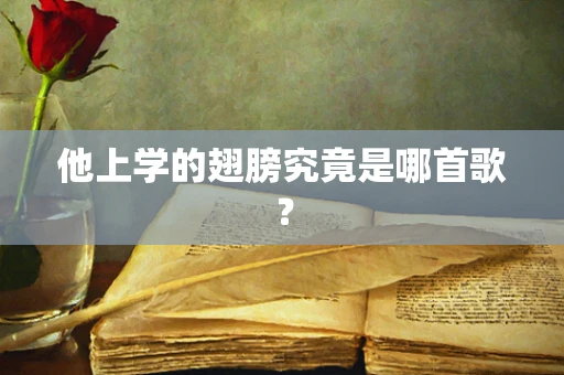他上学的翅膀究竟是哪首歌？