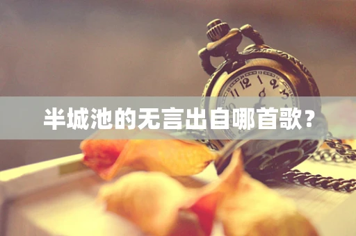 半城池的无言出自哪首歌？