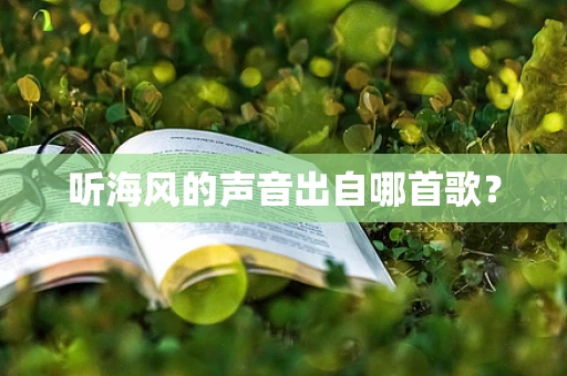 听海风的声音出自哪首歌？