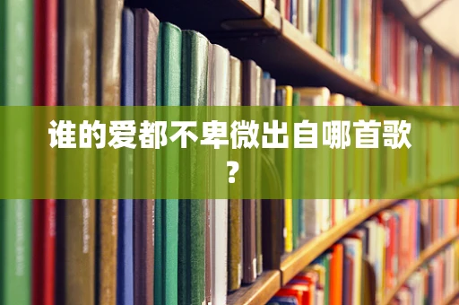 谁的爱都不卑微出自哪首歌？