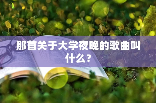 那首关于大学夜晚的歌曲叫什么？