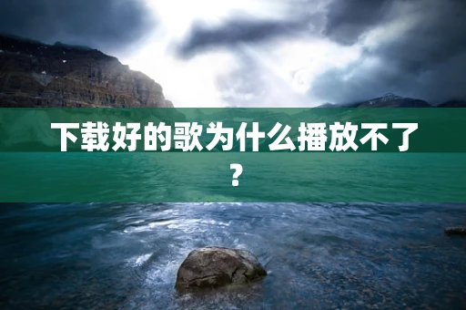 下载好的歌为什么播放不了？