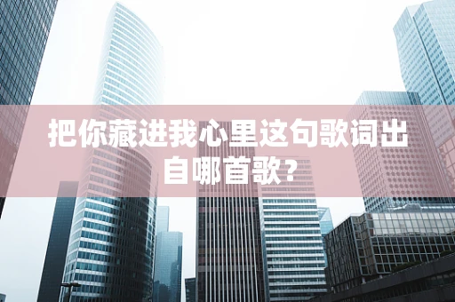 把你藏进我心里这句歌词出自哪首歌？