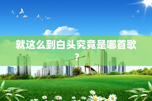 就这么到白头究竟是哪首歌？