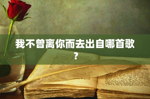我不曾离你而去出自哪首歌？