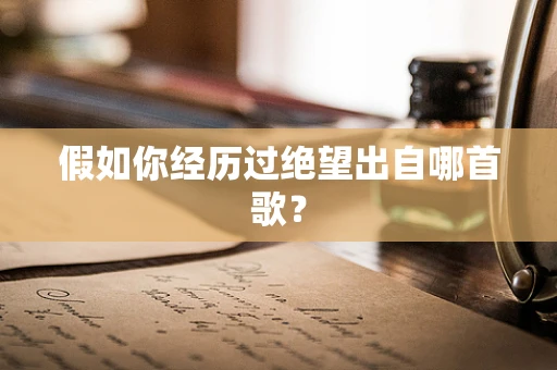 假如你经历过绝望出自哪首歌？