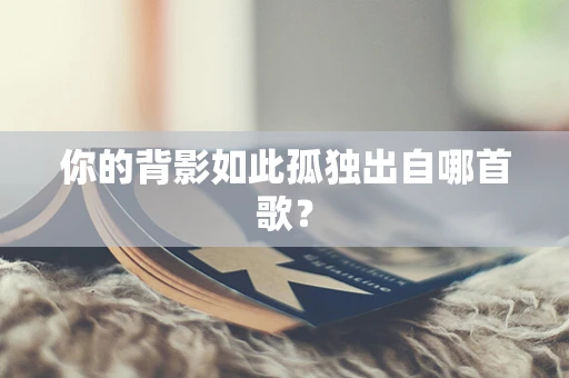 你的背影如此孤独出自哪首歌？