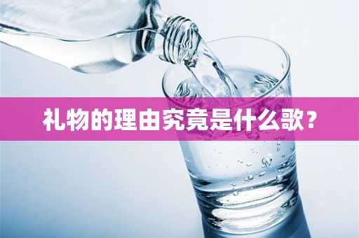 礼物的理由究竟是什么歌？