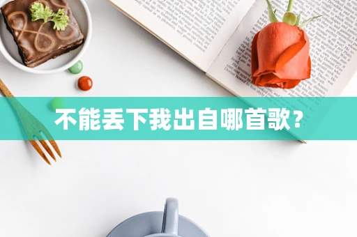 不能丢下我出自哪首歌？