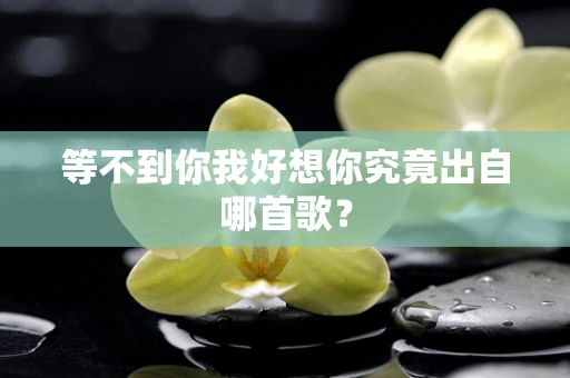 等不到你我好想你究竟出自哪首歌？