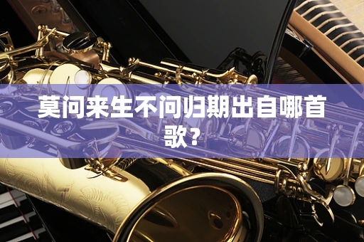 莫问来生不问归期出自哪首歌？