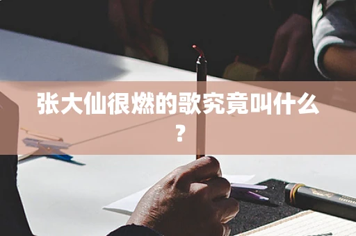 张大仙很燃的歌究竟叫什么？