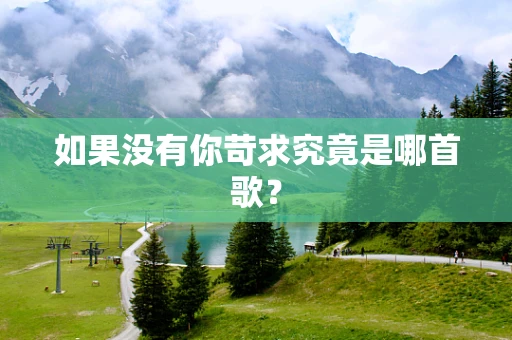 如果没有你苛求究竟是哪首歌？