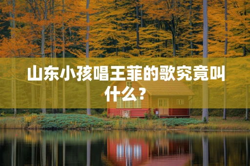 山东小孩唱王菲的歌究竟叫什么？