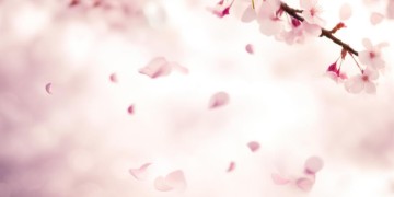 如果爱了就别勉为其难出自哪首歌？