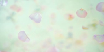 飞花国语版究竟是什么歌？