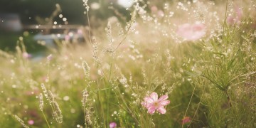 哪首歌里有羞答答呢？