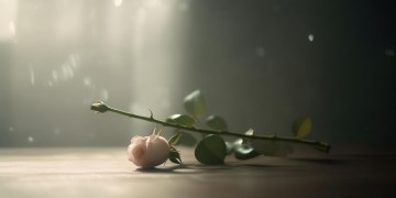 真想轻轻的吻你出自哪首歌？