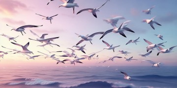 海鸥空中自由飞翔到底是哪首歌？