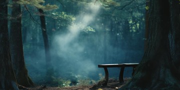 平凡的残酷与温柔究竟是哪首歌？