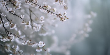 一mo愁究竟是哪首歌？