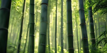 在竹林里穿梭是哪首歌？