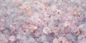 胡歌用什么做头像最好呢？