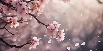 爱恨两难断是哪首歌的歌词？