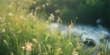 吉时他拜了高堂啊究竟是什么歌？