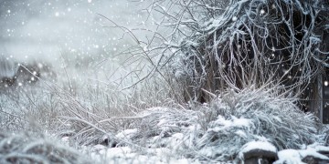 荒草古墓雪纷飞究竟出自哪首歌？
