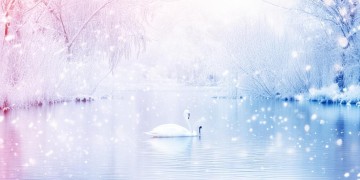 与冰雪共舞是哪首歌？