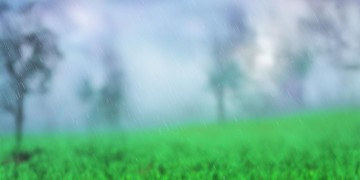想风想雨只为想你究竟是哪首歌？