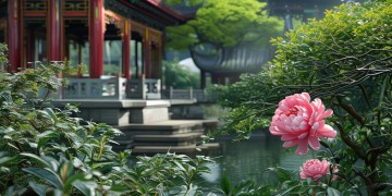 都说学中国舞很苦究竟是哪首歌?