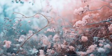 情绪莫名被拉扯究竟是哪首歌？