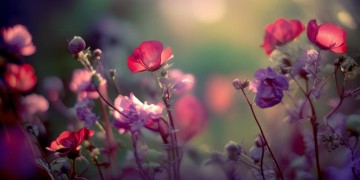 谁的爱都不卑微出自哪首歌？