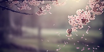 会回到原来的样子出自哪首歌?