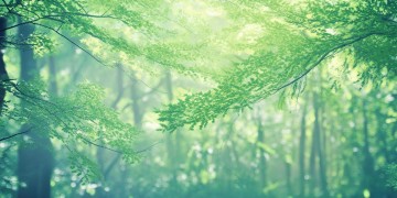 微风避雷究竟是什么歌?