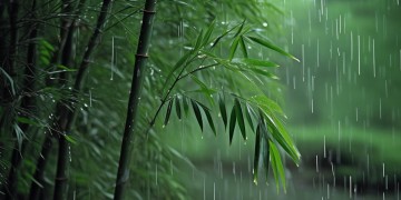 雨打芭蕉这句民谣歌词出自哪首歌？