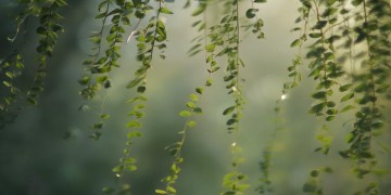 甩甩头这句歌词出自哪首歌呢？