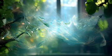 歌茶季杨究竟想要什么歌？