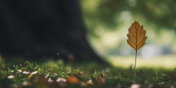 终究是来的这句歌词出自哪首歌？