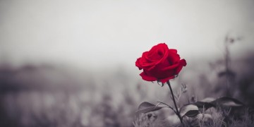 所有梦想失去颜色出自哪首歌？